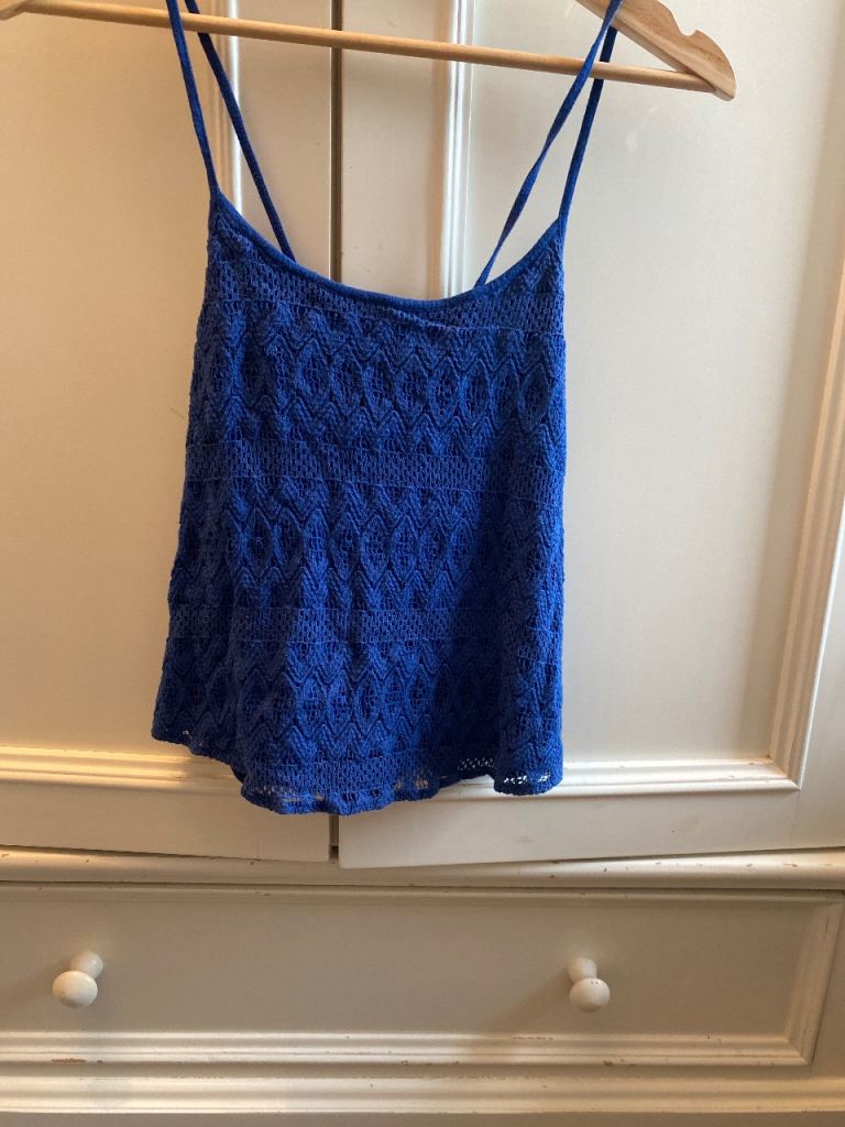 Hollister pretty blue xs embroidered top 