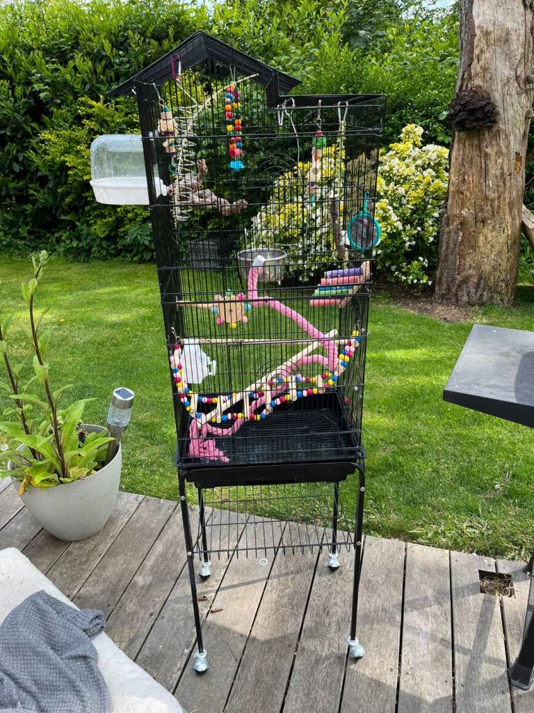 Bird cage and accessories 