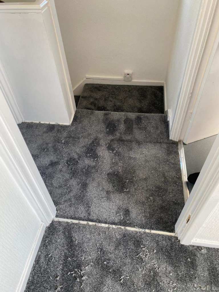 Carpet & Flooring - Supply and Fit