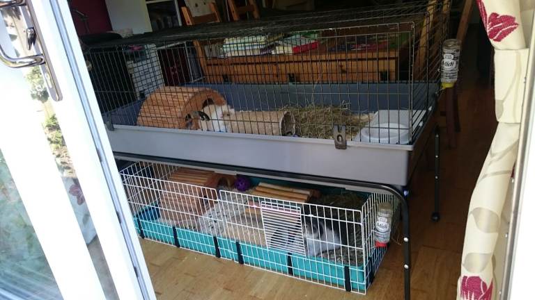 Large guinea pig cage with stand