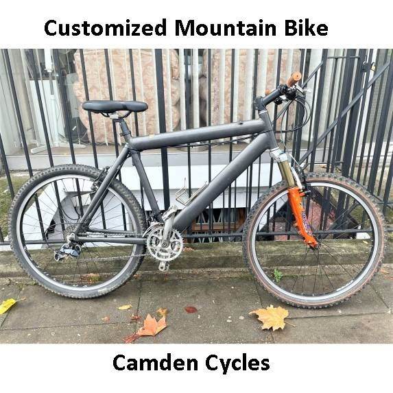 Customized Mountain Bike