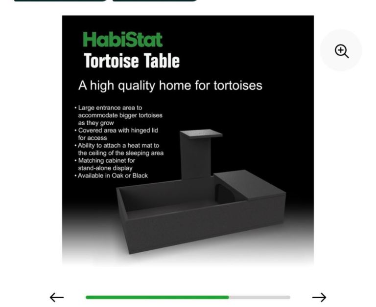 Tortoise Table 