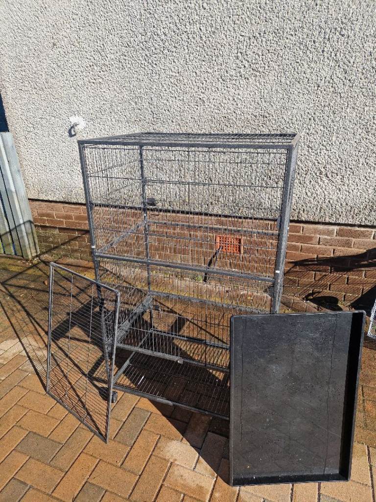Bird cage 