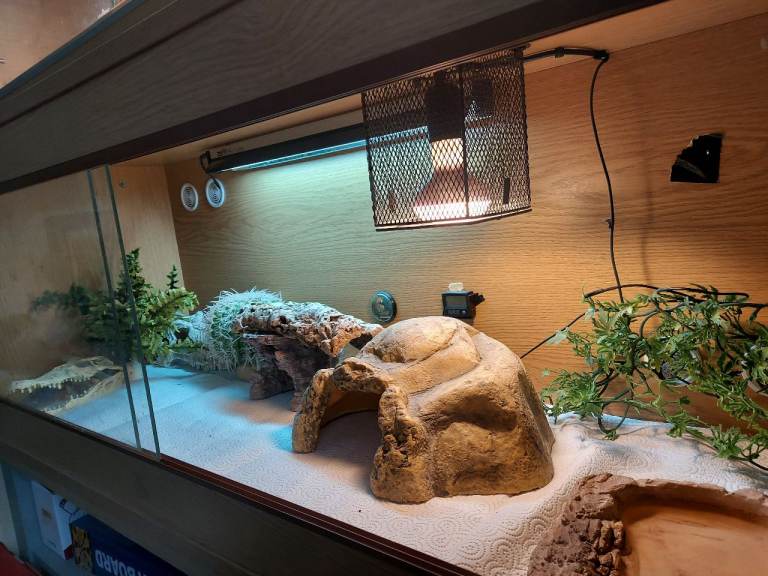 Vivarium full set up