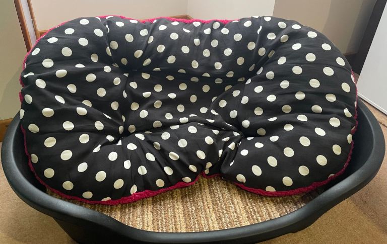 Rigid Large Dog Basket