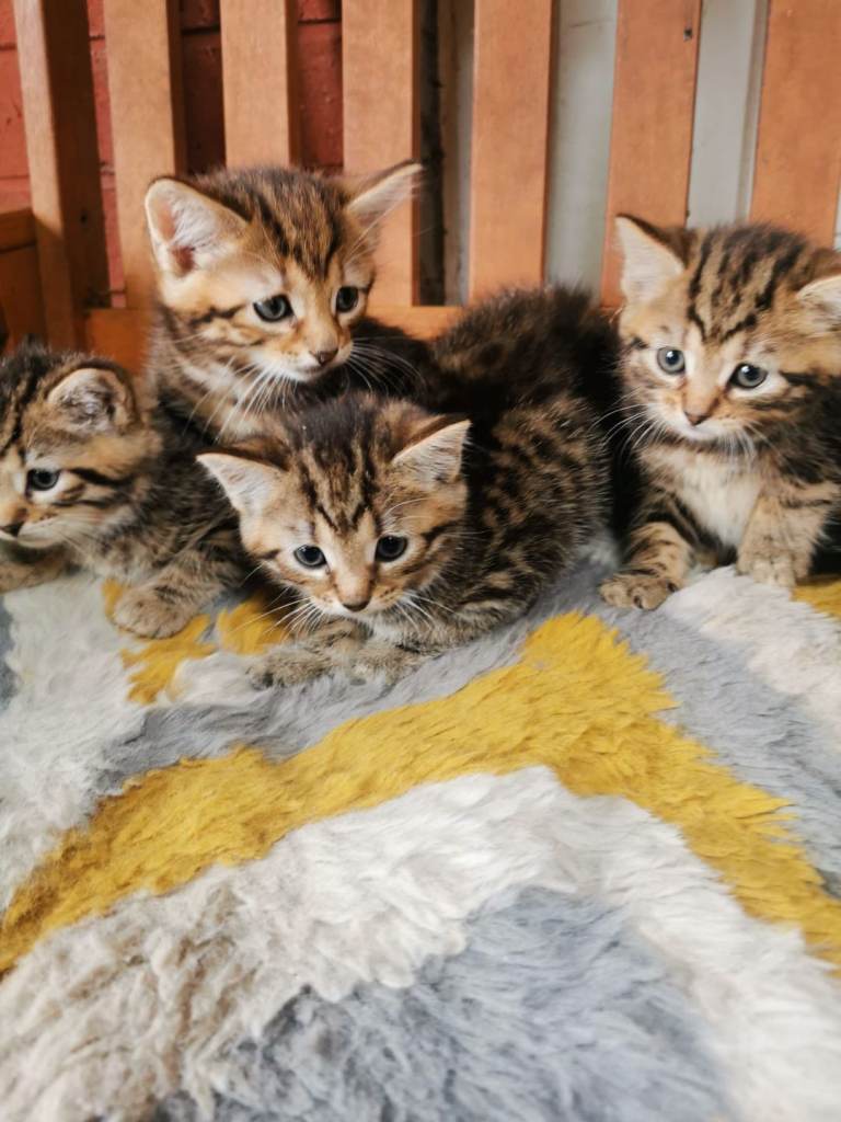 Boy and girls 