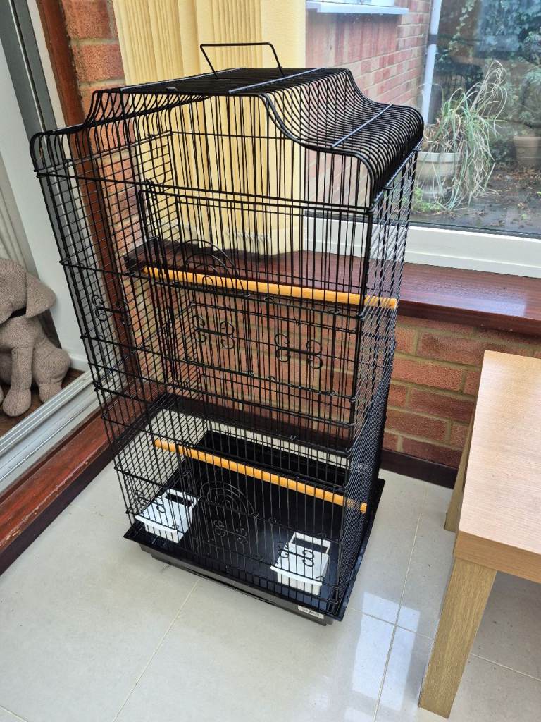 Bird Cage