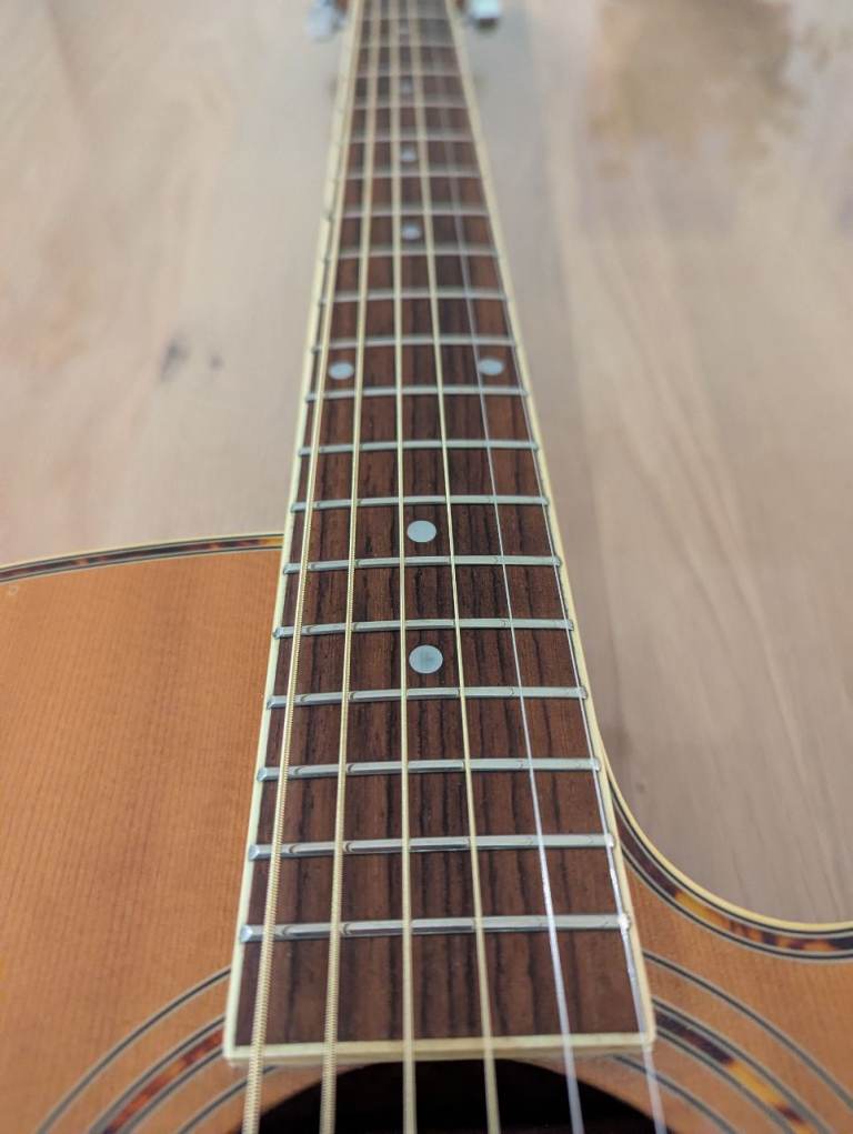 Freshman FA1AN electro acoustic guitar with bag