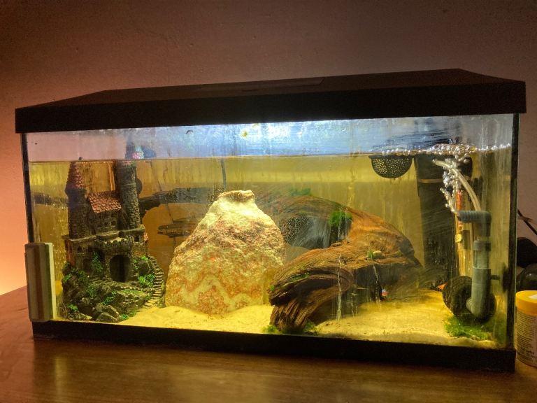 Fish tank