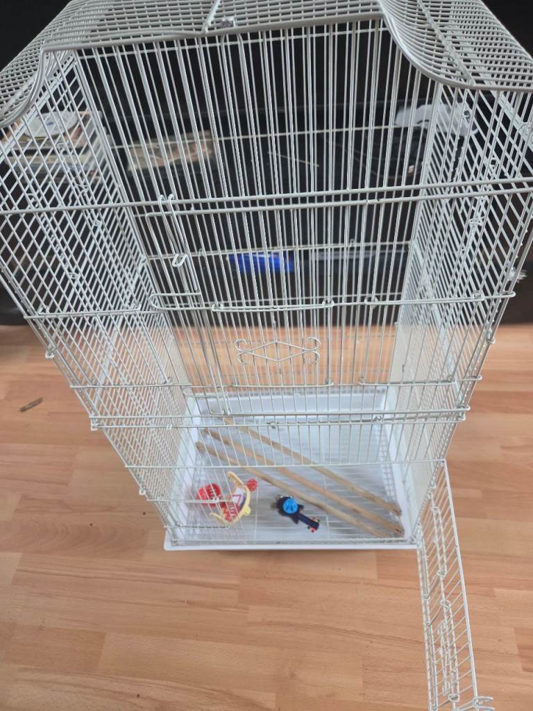 Large budgie cage