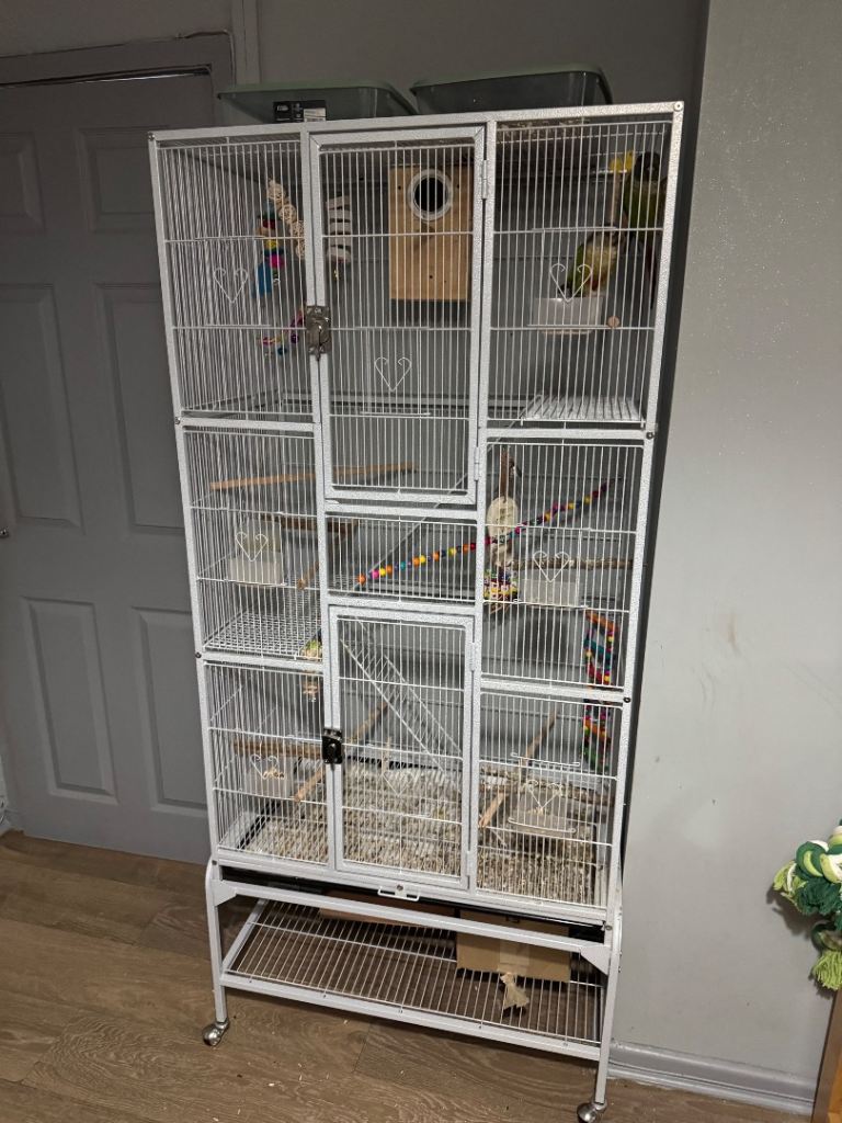 Extra large parrot cage and smaller bird cage for sale 