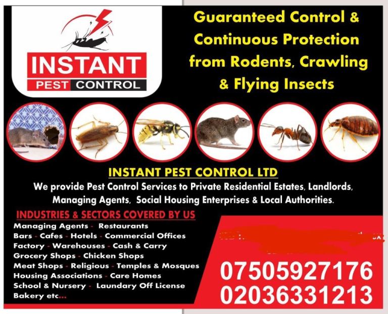24/7 Woolwich Belvedere Welling Sidcup Pest Control Bedbug Rat Mice Ant Cockroach Flea Mouse