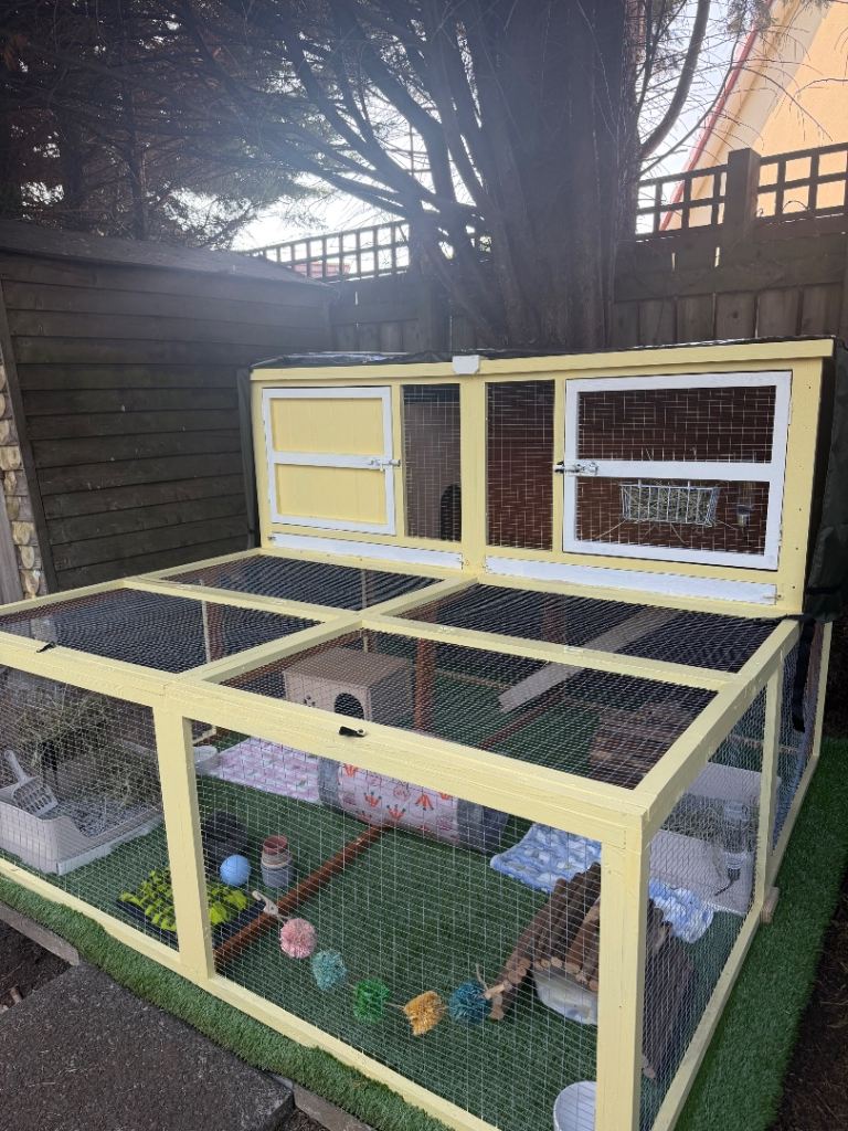 Rabbit Hutch & Run + Toys, Supplies and Food