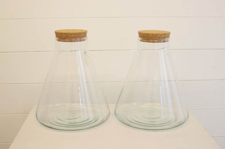 glass terrarium / hand blown glass terrarium for plants, insects, small animals