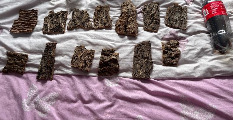 13 pieces of flat cork for reptile vivarium snake bearded dragon 