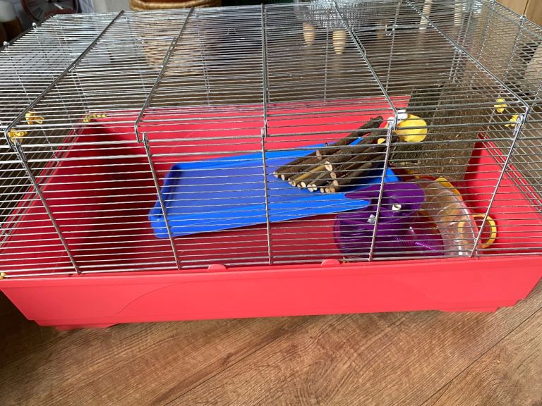 Hutch- hamster, Guinea pig or rabbit
