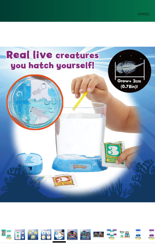 The Original Sea Monkeys