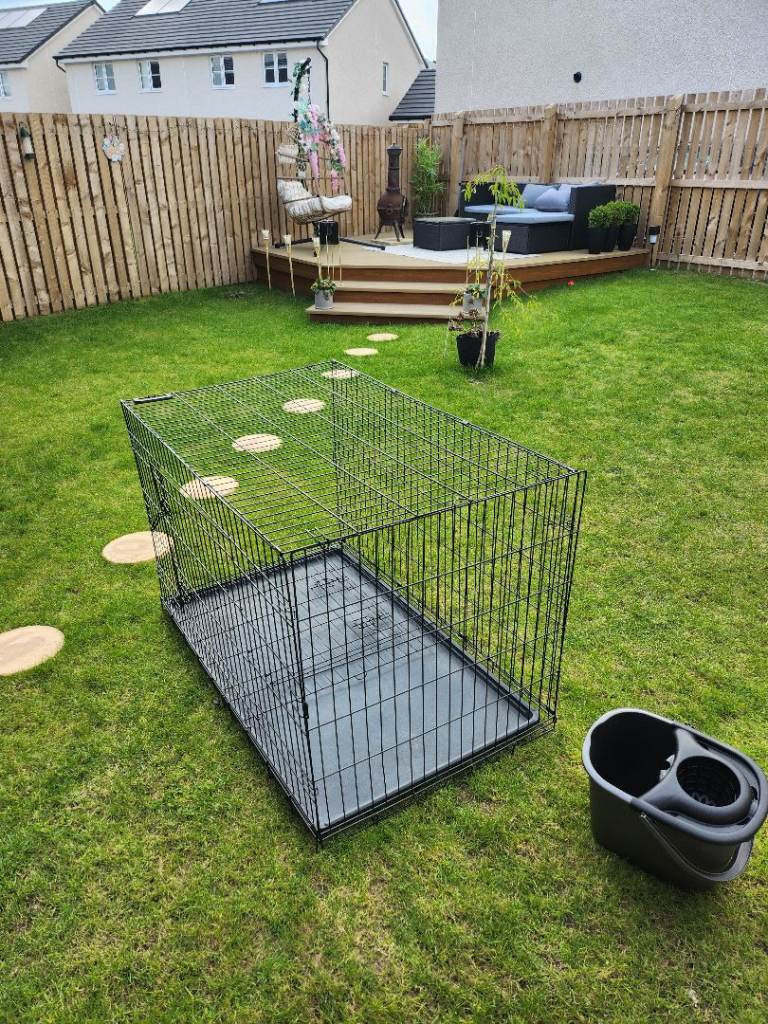 Large dog crate 