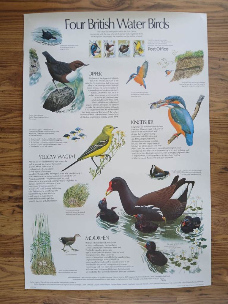 *Free* 2 x Educational Wall Posters