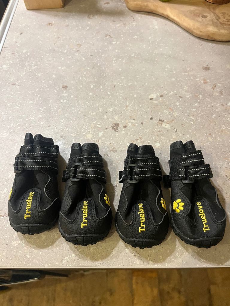Truelove dog boots 