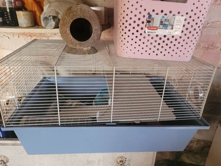 Hamster cage and accessories 