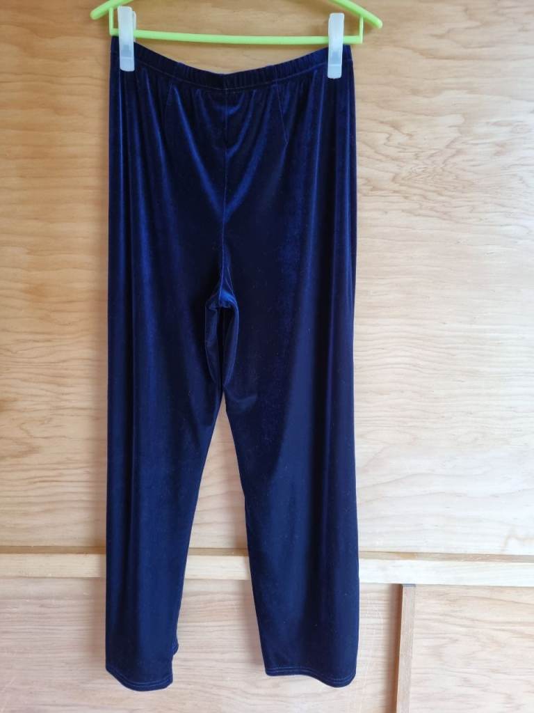 Velvet Blue Trousers – Good Condition