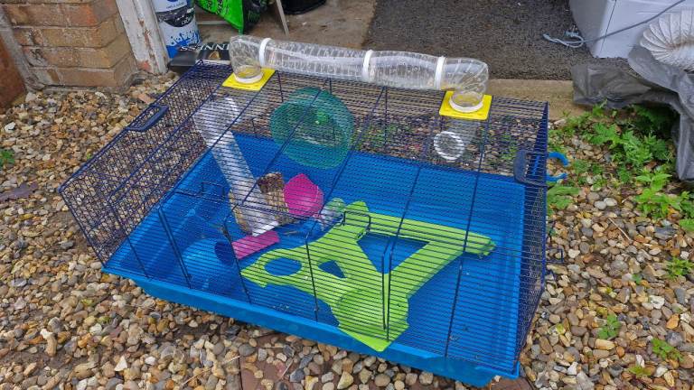 Hamster cage with accessories 