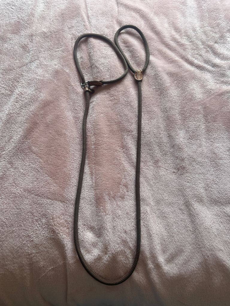 Basic slip lead