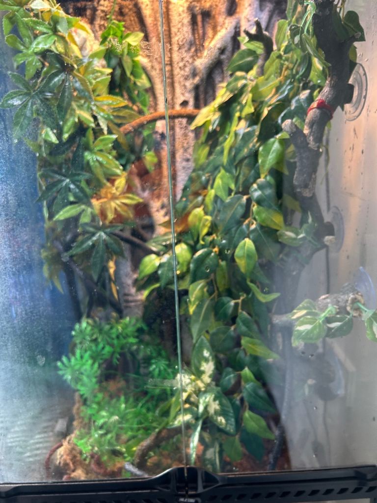 Exoterra Vivarium 
