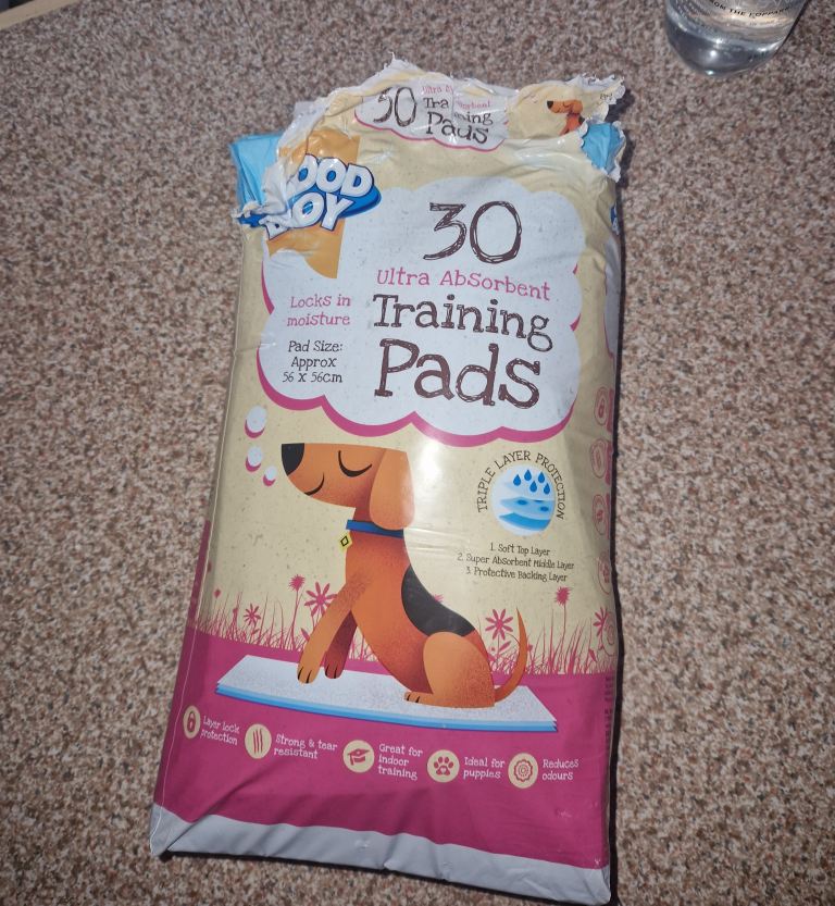 Free puppy pads
