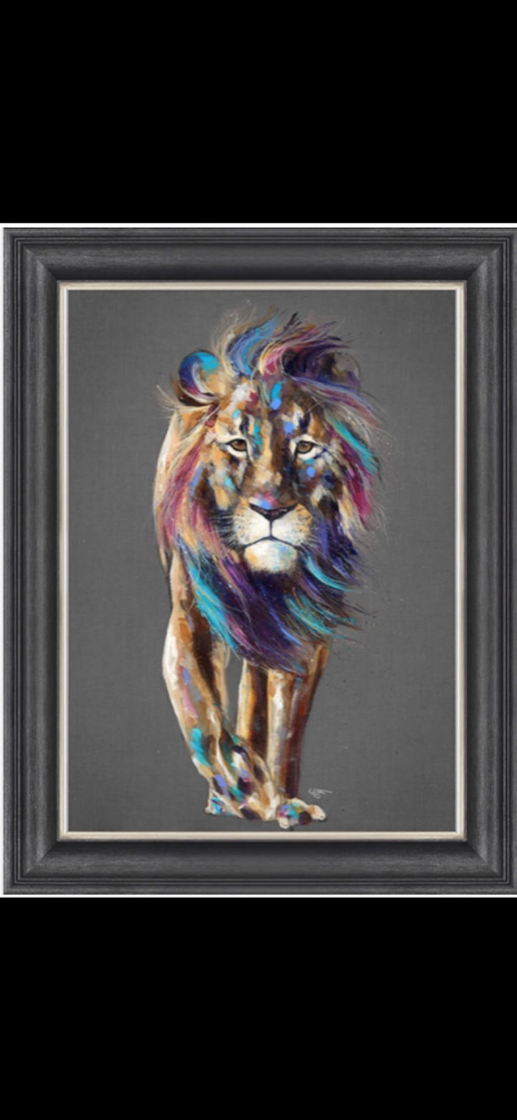 image for LION PICTURE 