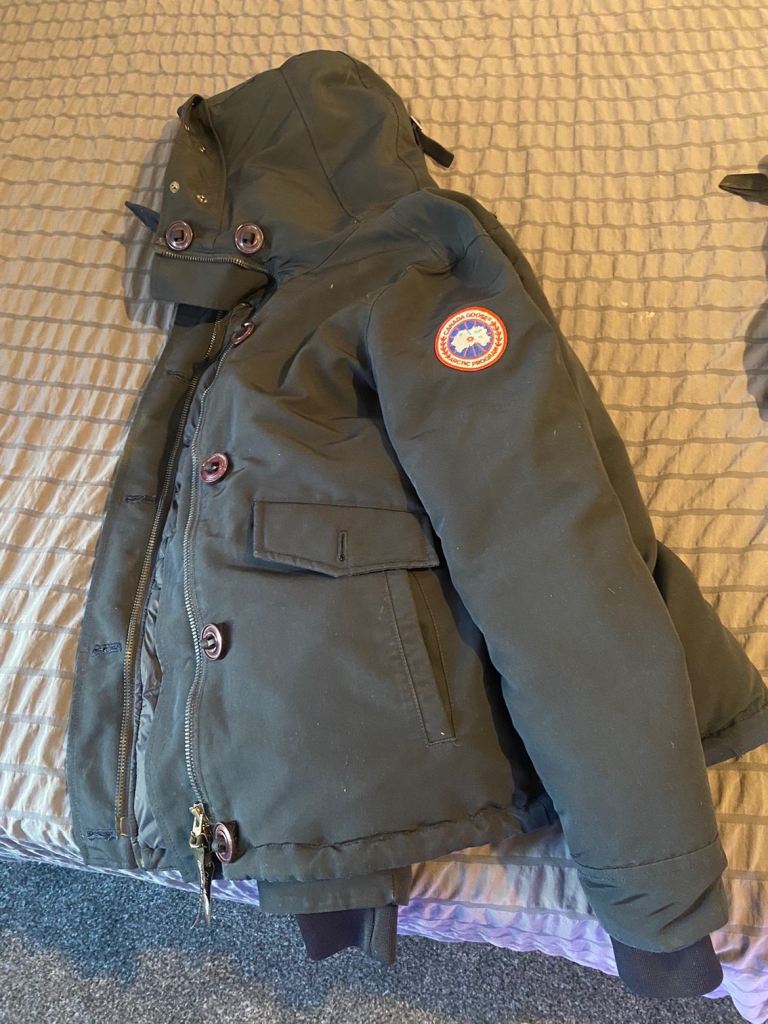 Canada goose 