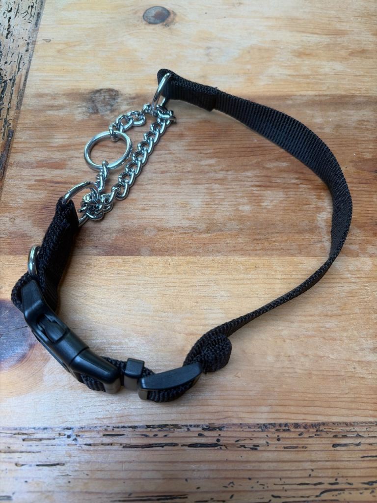 Size L Dog collar 