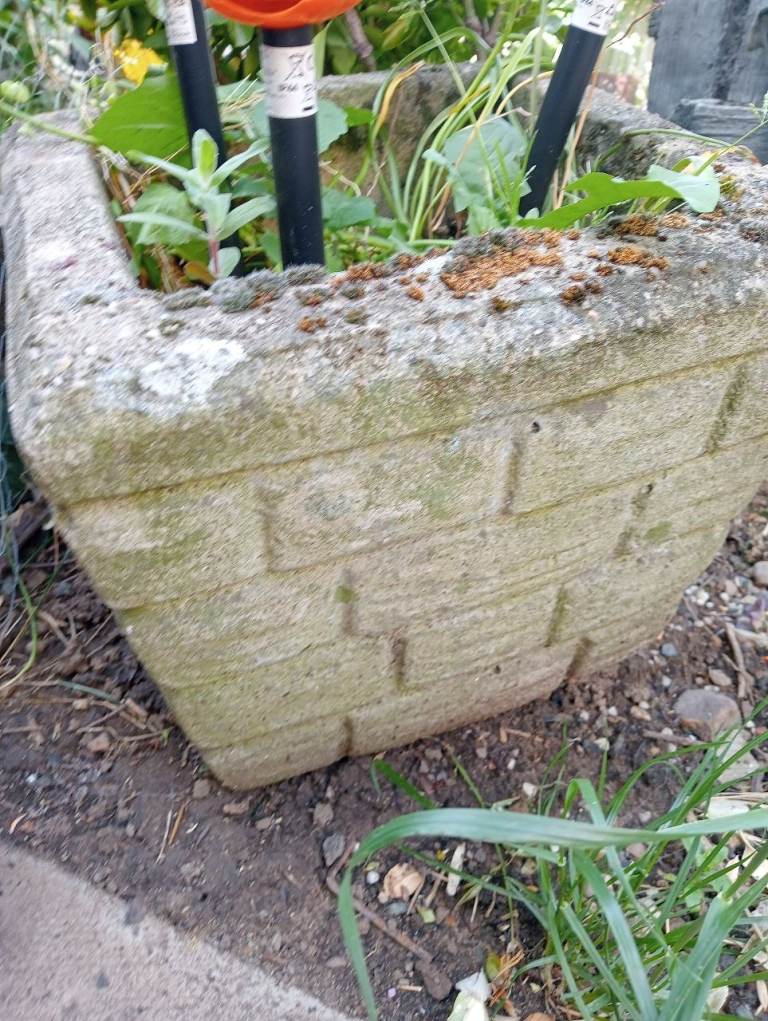 Concrete plant pot