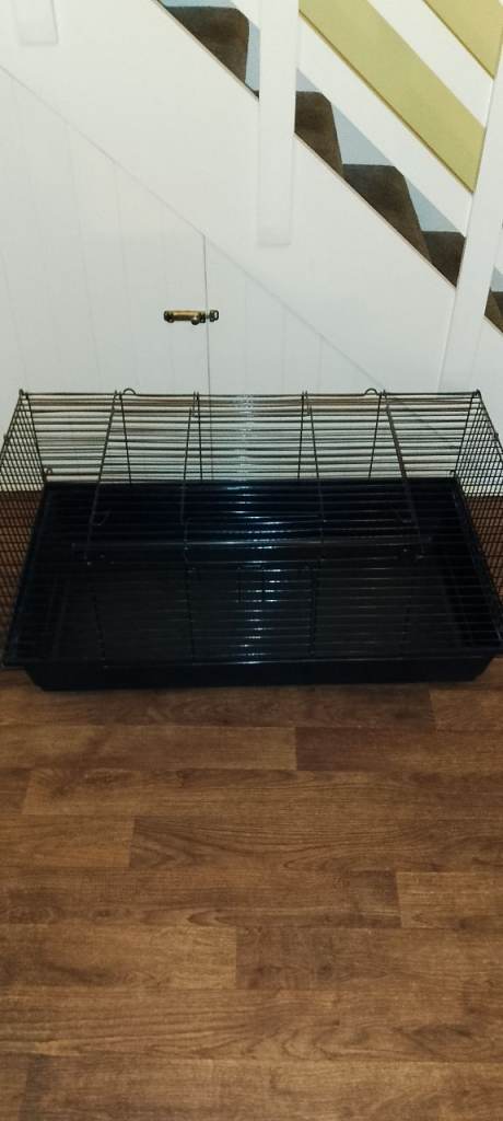 Guinea pig cage