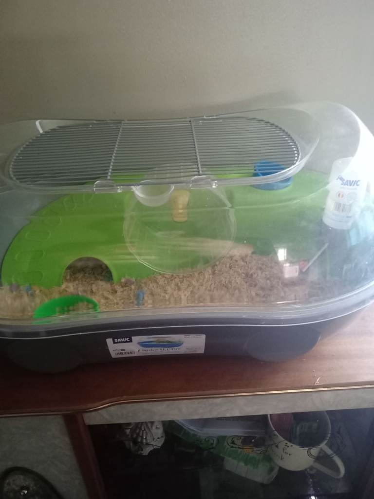 Hamster cage 