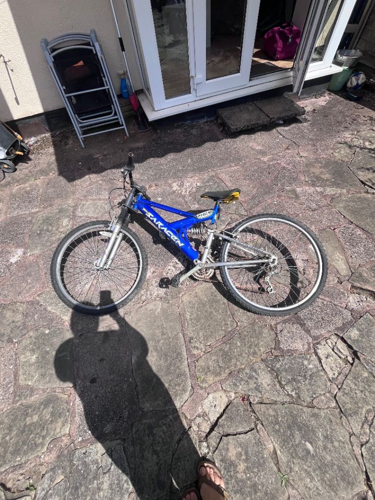 Beautiful bike needs TLC