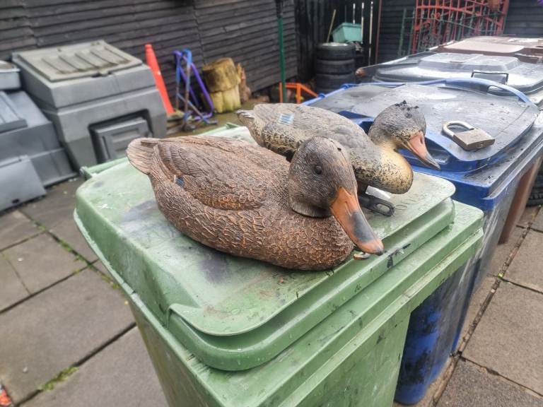 Duck decoys 