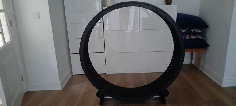 Cat Exercise Wheel, One Fast Cat