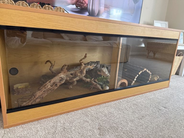 Bearded Dragon Setup