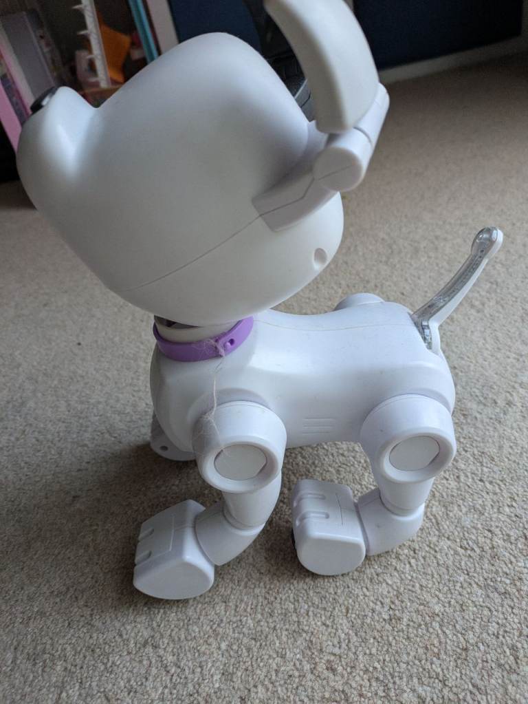 Dog e robot dog 