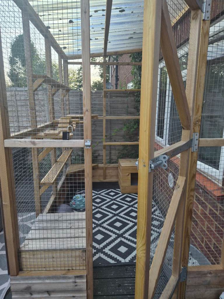 Catio