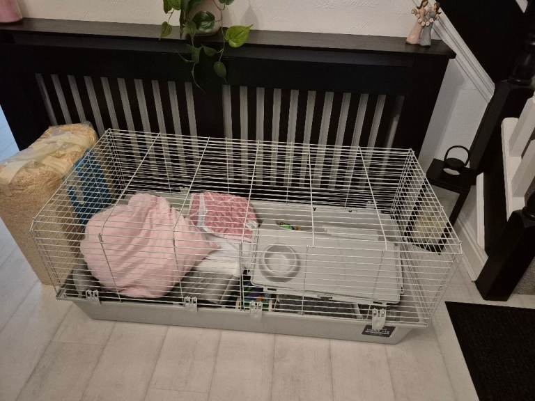 Large cage for smaller animals with bedding, toys, hide oits mats