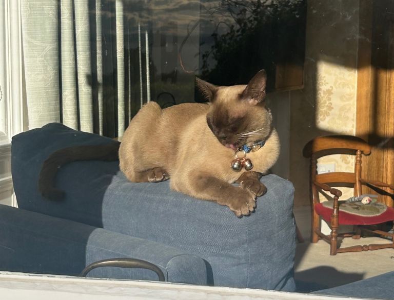 MISSING, BELIEVED STOLEN