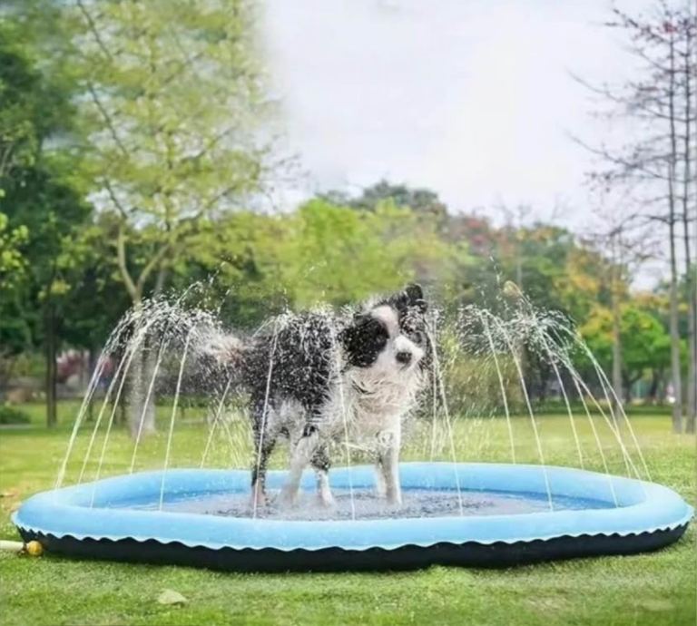 Brand new pet sprinkler 