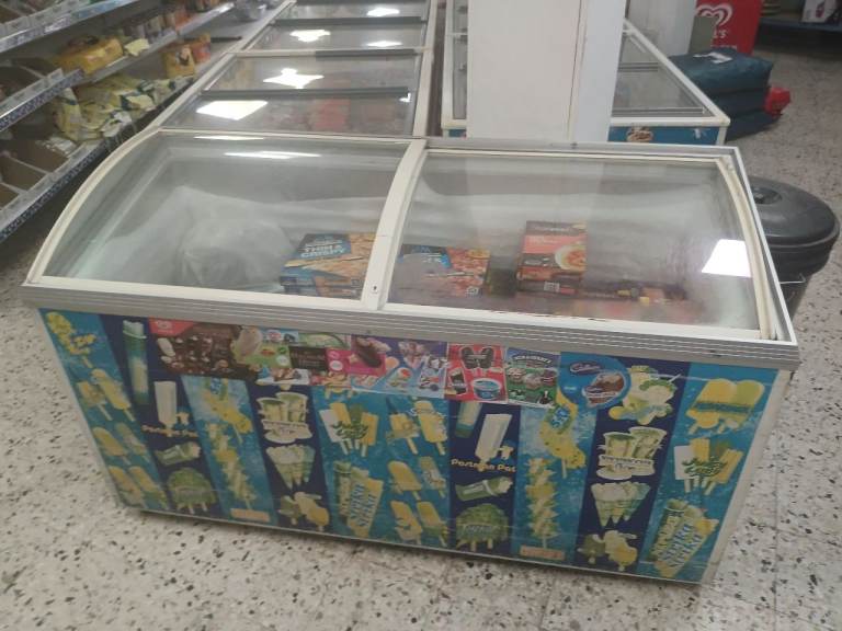 Commercial Chest Freezer with Glass Lids – Fully Functional