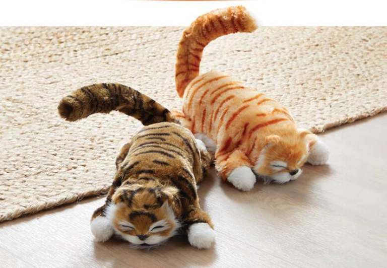 TWO LAUGHING ELECTRIC CATS! HILARIOUS FUN!