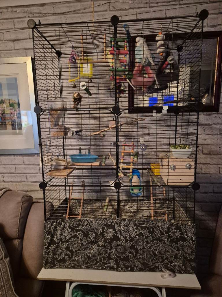 Large Bird Cage