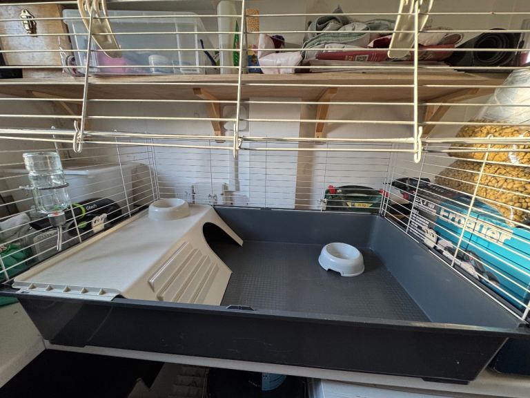 Guinea Pig / Rabbit cage