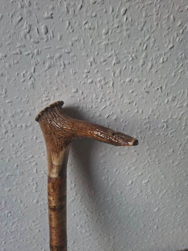 Walking Stick